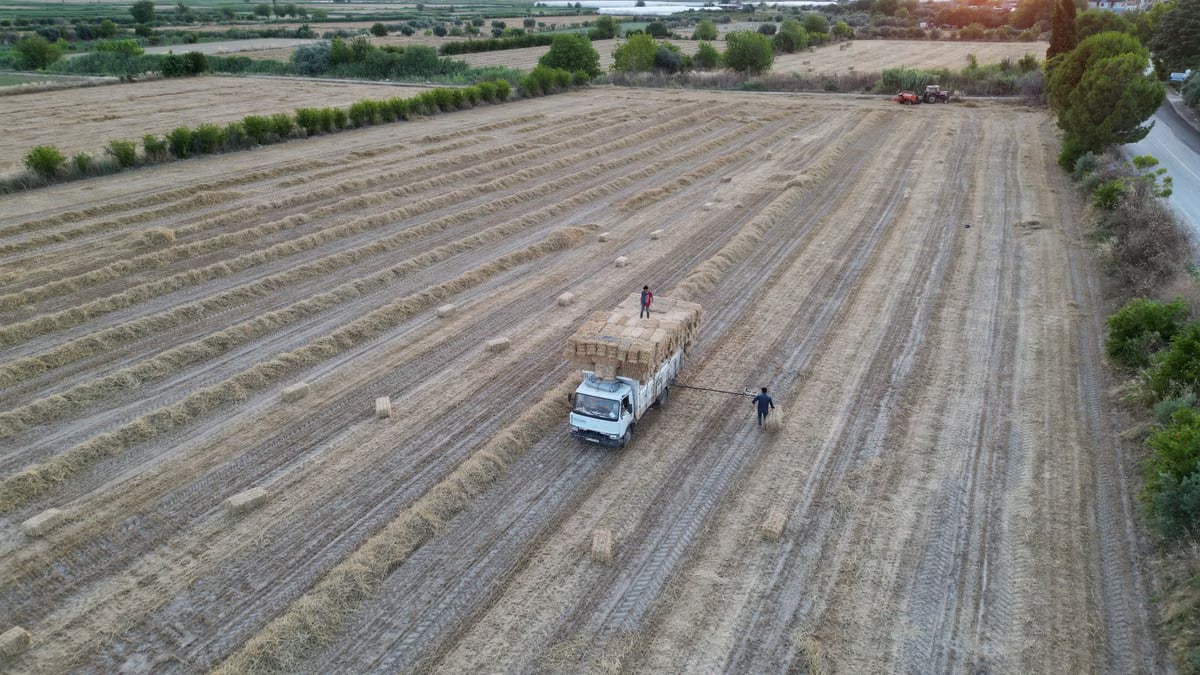 Aerial view of farmers collecting hay bales at sunset in Denizli, Türkiye.